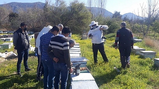 Arıcılara kış uykusundan uyanan arılarla uygulamalı eğitim