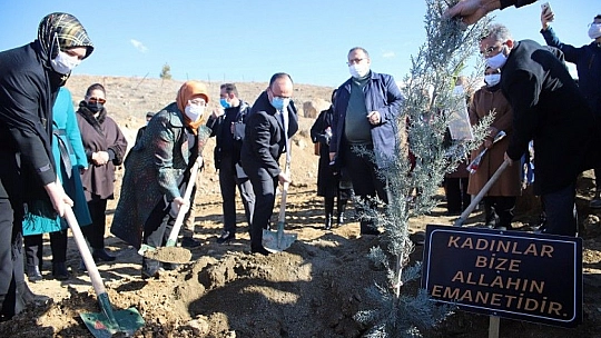 Elazığ'da 11 şehit anısına fidan dikildi