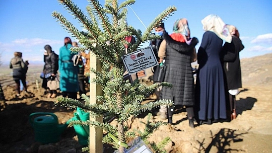 Elazığ'da 11 şehit anısına fidan dikildi