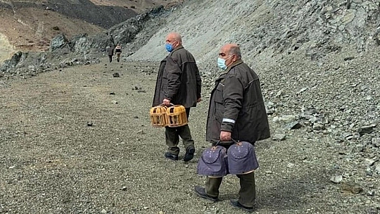Yasak başladı, ele geçirilen kınalı keklikler doğaya salındı