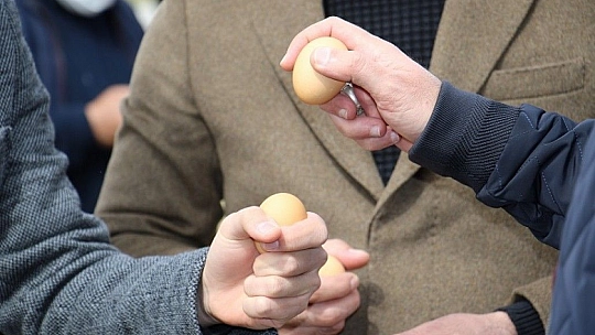 Elazığ'da coşkulu Nevruz kutlaması