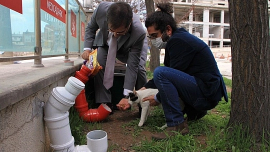 Elazığ'da hayvan dostu hastane