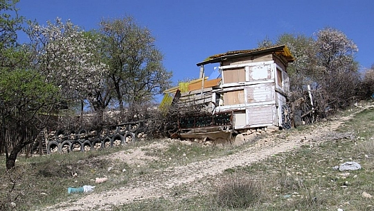 18 yaşında cinayete kurban gitti, geriye '22 yıl daha yaşar mıyım' dediği video kaldı