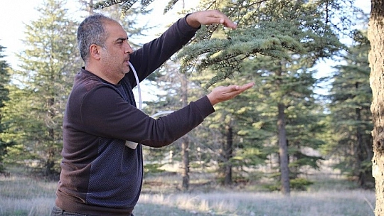 Bu böcek dünyada ikinci, Türkiye'de ilk defa Elazığ'da görüldü