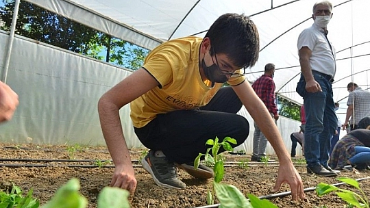 Elazığ'da 'Ağacımla büyüyorum, kendi seramda üretiyorum' projesi