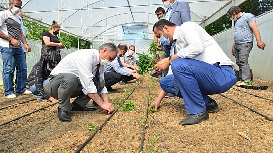 Elazığ'da 'Ağacımla büyüyorum, kendi seramda üretiyorum' projesi