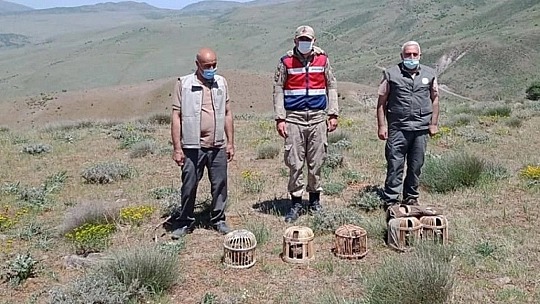 Elazığ'da kaçak avda yakalanan 3 şahsa işlem yapıldı