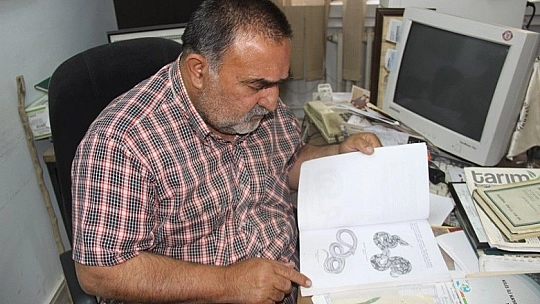 Depremler yılanların da yaşam alanlarını bozdu, ekolojik dengesizlik popülasyonu arttırdı