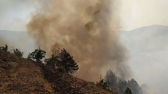 Elazığ'daki orman yangını söndürüldü