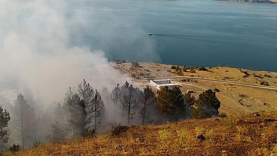 Elazığ'daki orman yangını söndürüldü