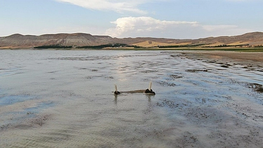 Baraj suları 150 metre çekilince ortaya çıktı