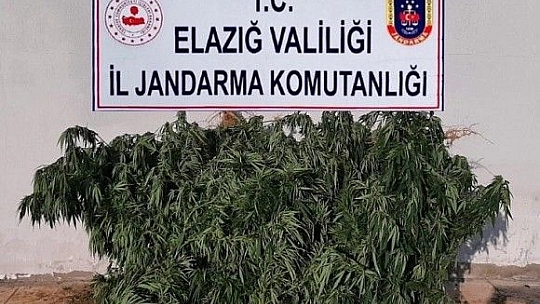 Elazığ'da uyuşturucu operasyonu