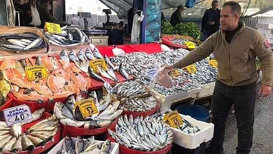 Balığa Rağbet Arttı