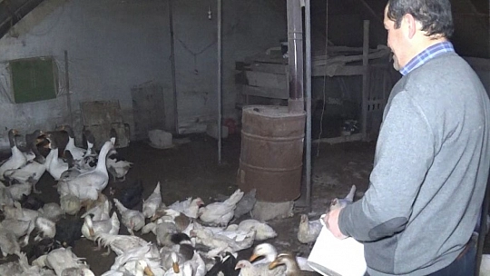 Yolda bulduğu ve 'Mamoş' ismini verdiği kazı, sahibine teslim etti