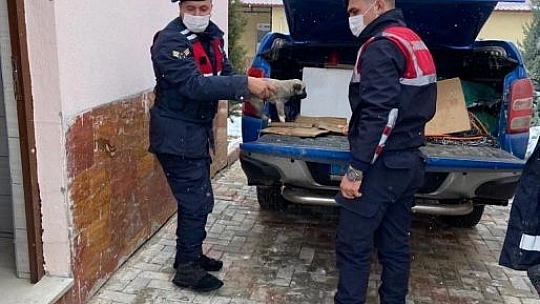 Jandarma Ekipleri, Anne Ve Yavru Köpeklere Sahip Çıktı
