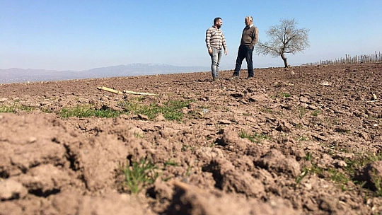 Risk Alarak Baraj Sahasını Eken Çiftçileri 'Yağış' Endişesi Sardı