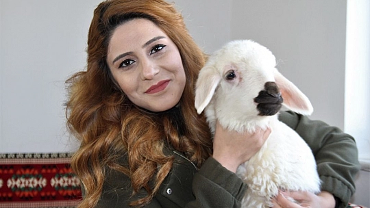 Annesi Ölen 'Rıfkı'yı' Ev Ortamında Biberonla Besliyorlar