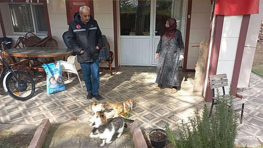 Evinin Bahçesinde 30 Kediye Bakan Zahide Nineye İl Özel İdare Ekiplerinden Mama Desteği