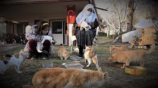 Evinin Bahçesinde 30 Kediye Bakan Zahide Nineye İl Özel İdare Ekiplerinden Mama Desteği