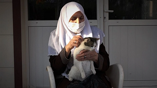 Evinin Bahçesinde 30 Kediye Bakan Zahide Nineye İl Özel İdare Ekiplerinden Mama Desteği