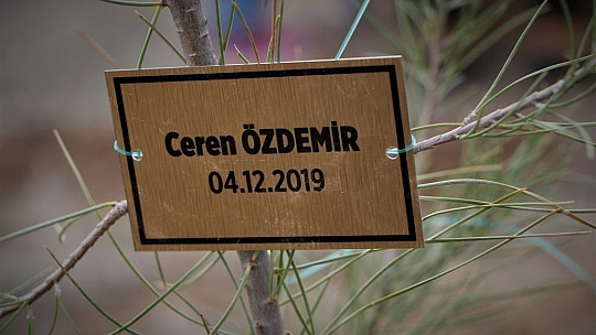 Kadın Muhtar Cinayete Kurban Giden Kadınların İsimlerini Ağaçlarda Yaşatacak