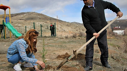 Kadın Muhtar Cinayete Kurban Giden Kadınların İsimlerini Ağaçlarda Yaşatacak