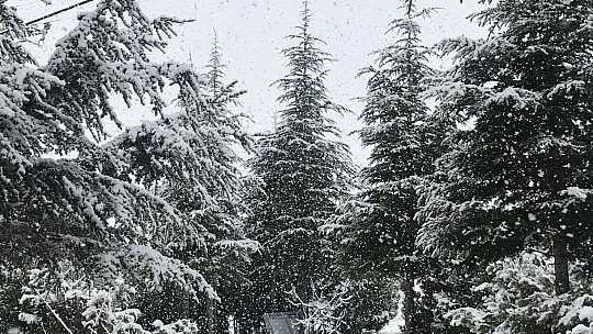Elazığ'da Kar Yeniden Başladı