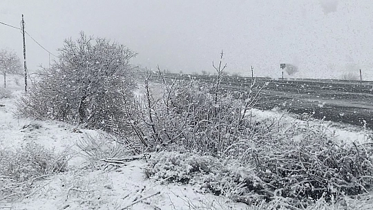 Elazığ'da Kar Yeniden Başladı