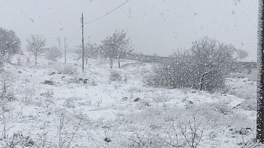 Elazığ'da Kar Yeniden Başladı