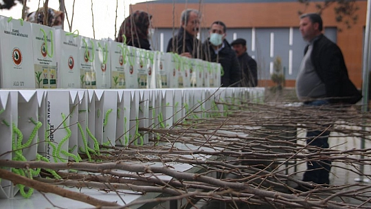 Elazığ'da Üreticilere 6 Bin 500 Dut Fidanı Dağıtıldı