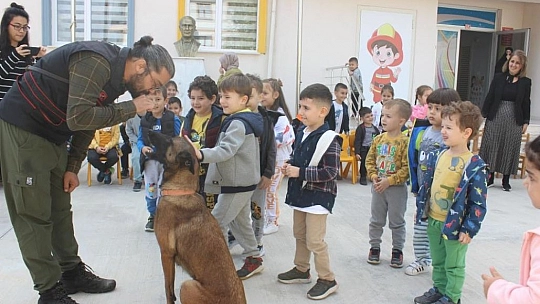 Elazığ Depreminde Arama Kurtarma Çalışmalarına Katılan Köpeğe Araba Çarptı