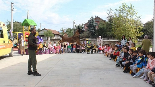 Elazığ Depreminde Arama Kurtarma Çalışmalarına Katılan Köpeğe Araba Çarptı