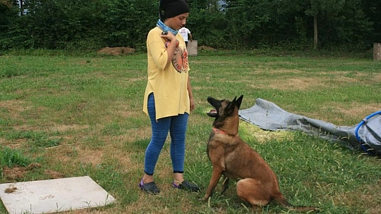 Elazığ Depreminde Arama Kurtarma Çalışmalarına Katılan Köpeğe Araba Çarptı