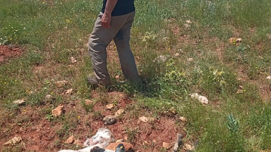Elazığ'da Fırtına ve Yağmurun Enkazları Devam Ediyor