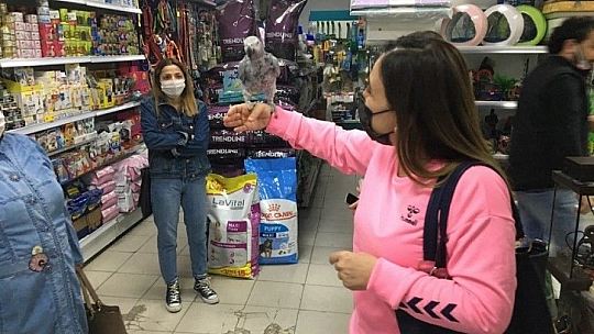 Eğer Bir Jakonuz Varsa Bir Ömür Arkadaşınız Var Demektir