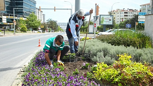 Başkan Şerifoğulları, Park ve Yeşil Alanları İnceledi