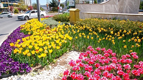 Başkan Şerifoğulları, Park ve Yeşil Alanları İnceledi