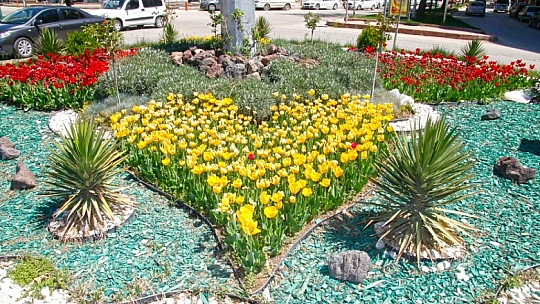 Başkan Şerifoğulları, Park ve Yeşil Alanları İnceledi