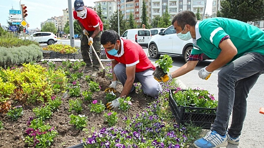 Başkan Şerifoğulları, Park ve Yeşil Alanları İnceledi