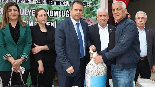 Yüzde 75 Hibeli Fasulye Tohumu Dağıtıldı