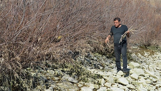 Ağaç Kökünden Gelen Sanat...