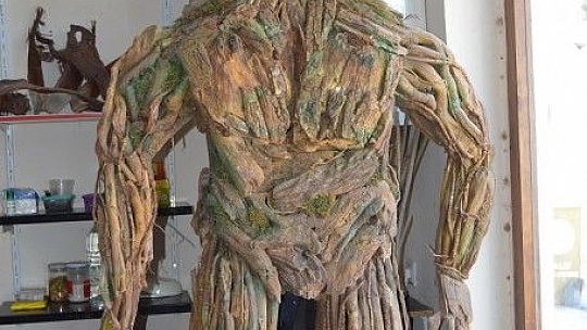 Ağaç Kökünden Gelen Sanat...