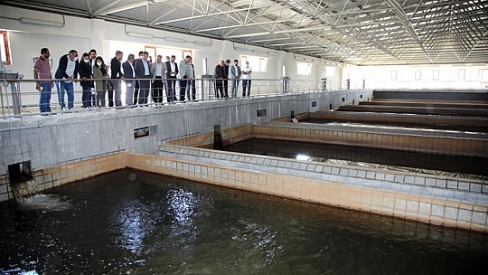Elazığ Belediye Meclis Üyeleri Su Arıtma Tesisinde İncelemelerde Bulundular