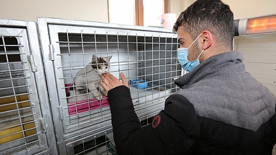 Geçici Hayvan Bakımevi Ziyaretçilerini Ağırlamaya Devam Ediyor