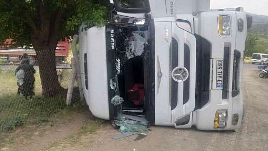 Elazığ'da Hayvan Yüklü Tır Yan Yattı, 170 Hayvan Telef Oldu