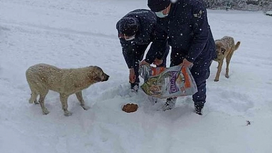 Jandarma Ekiplerinden Yürekleri Isıtan Hareket