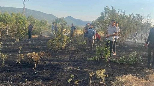 Elazığ'da ormanlık alanda çıkan yangın büyümeden söndürüldü