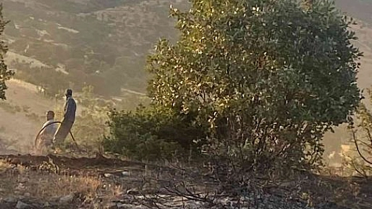 Elazığ'da ormanlık alanda çıkan yangın büyümeden söndürüldü