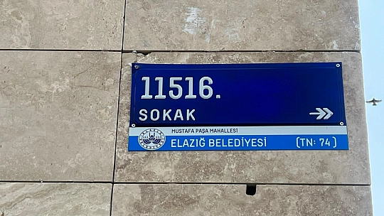 Elazığ'da Kablolar Çalındı Vatandaşlar 40 gündür Hizmet Alamıyor