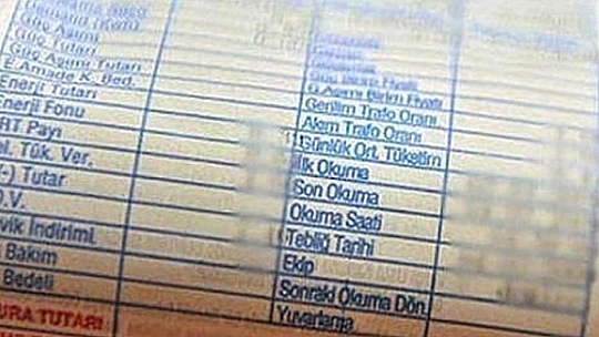 Malatya'da kaçan yarış atları karayoluna çıktı: 6 at telef oldu, 2 kişi yaralandı